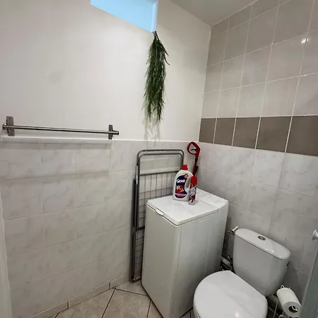 Apartment Les De Le Bambou Cozy *